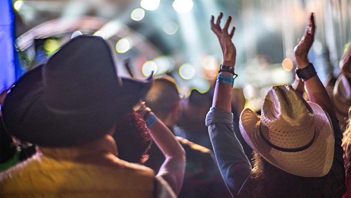 Country concert crowd