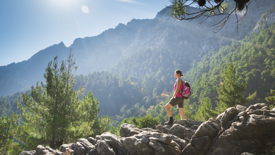 Boulder &amp; The Front Range Adventure: Half Day Hike Tour