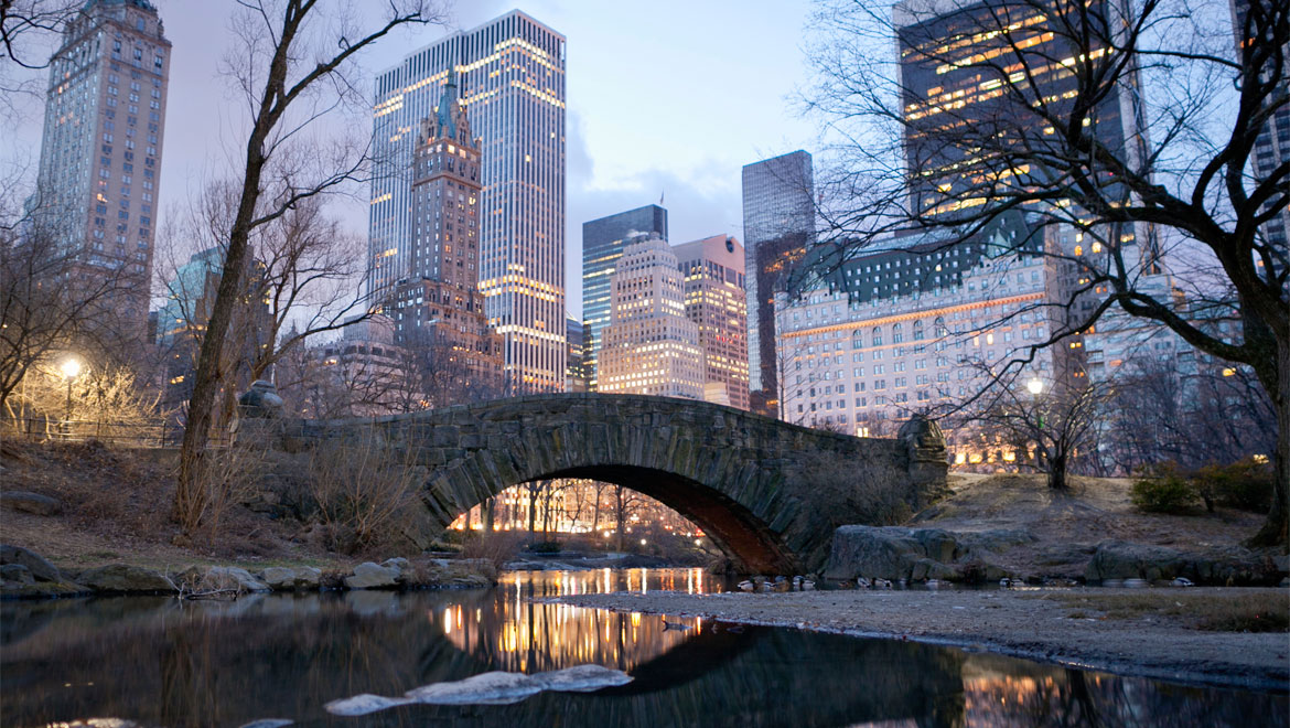 Central park bridget and buildings