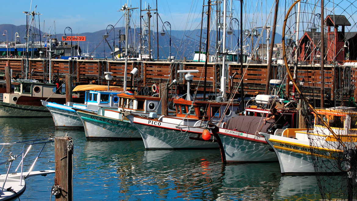 Things to Do in Fishermans Wharf, San Francisco