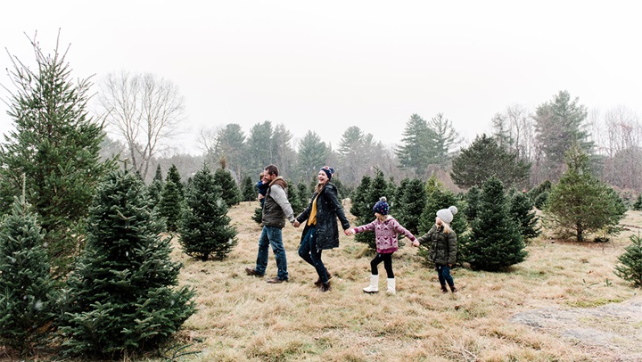 Family shopping for Christmas tree