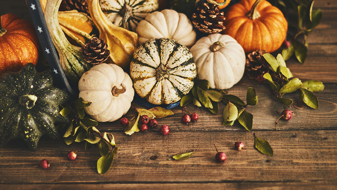 Pumpkins and gourds