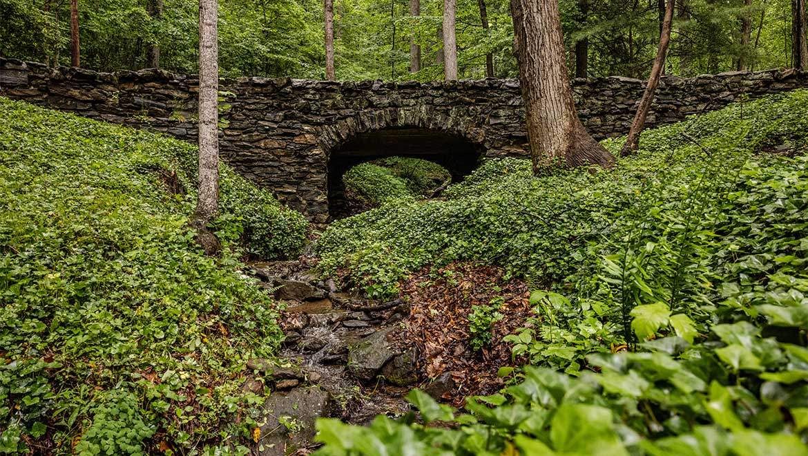 grove park sunset trail 