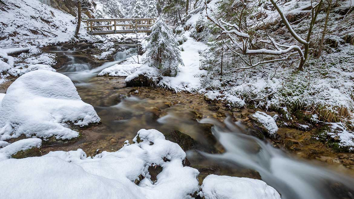 Hiking trail during winter