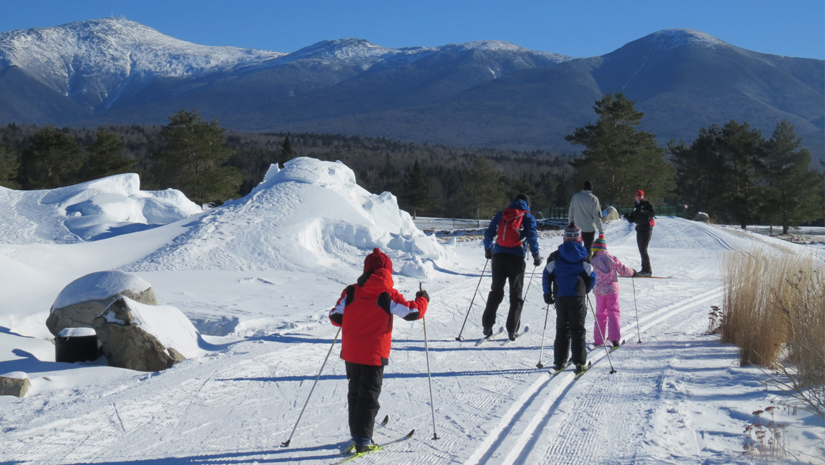 bretton woods demo skis