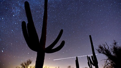 Starry desert sky