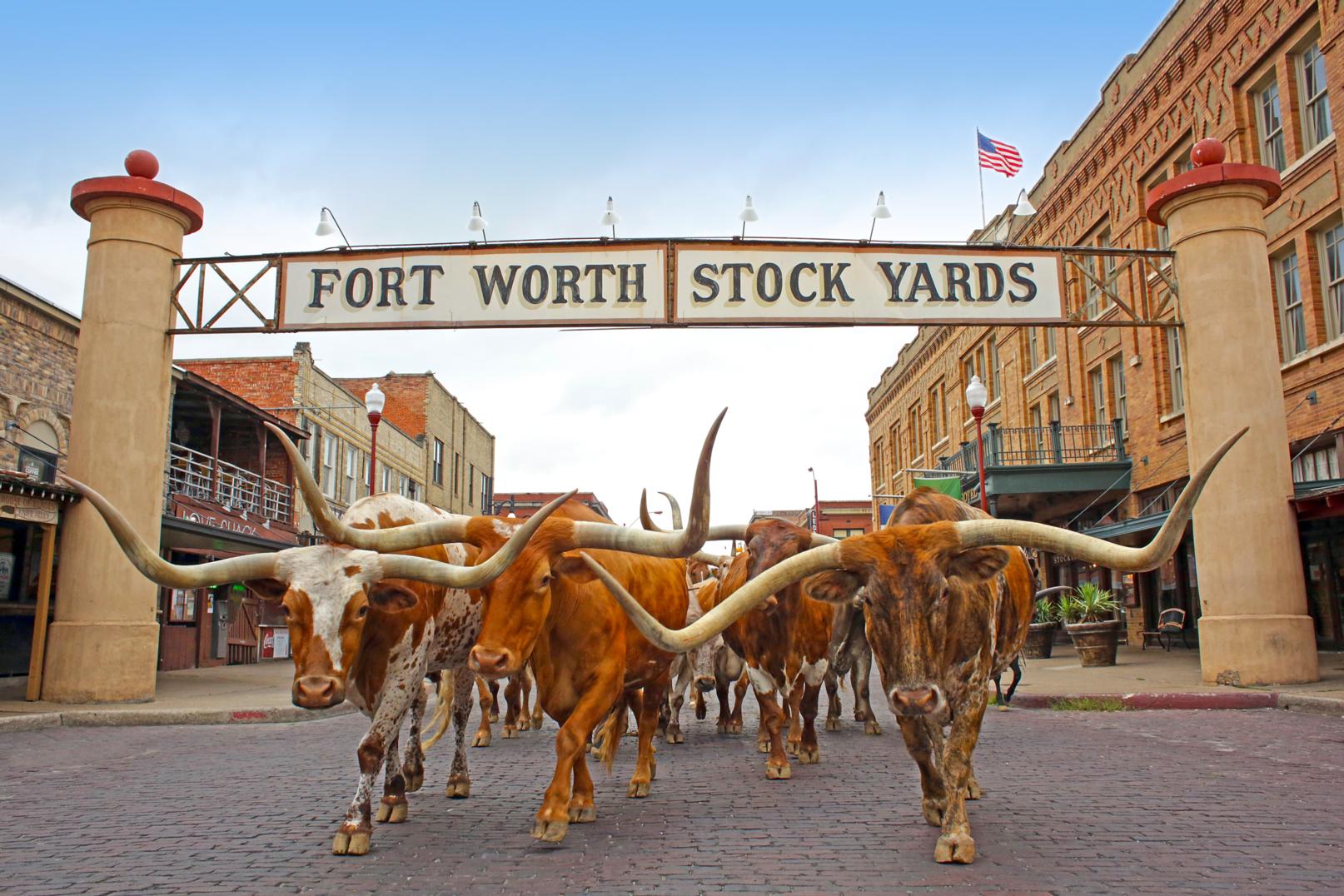 Best Staycation Cities Fort Worth