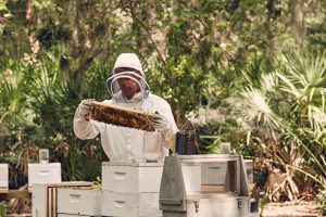 Omni Amelia Island Plantation Resort Sprouting Project